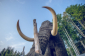 Obří mamut