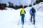 SNOW LEOPARD DAY