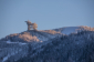 Atomic / Salomon Večerní výšlap na skialpech