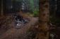 Specialized Enduro Trail