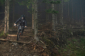 Specialized Enduro Trail