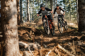 Mamutí trail