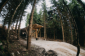 Downhill trail