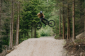 Downhill trail